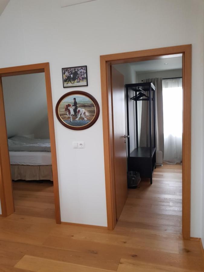 Hotel Efri-Gegnisholar à Selfoss Extérieur photo